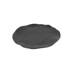 Big Green Egg Shared Dinning Teller