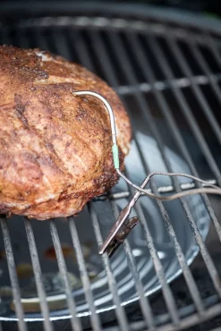 Big Green Egg EGG Genius Temperatursteuerung -Barbecue Shop Big Green Egg EGG Genius Fleischsonde 121059