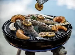 CADAC Camping Gasgrill Carri Chef 50 / BBQ Plancha + Dome - 50 Mbar 8 CADAC Camping Gasgrill Carri Chef 50 / BBQ Plancha + Dome - 50 Mbar -Barbecue Shop CADAC Carri Chef 50 Plancha