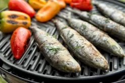 CADAC Camping Gasgrill Grillo Chef 40 / BBQ + Chef Pan + Dome - 50mbar 13 CADAC Camping Gasgrill Grillo Chef 40 / BBQ + Chef Pan + Dome - 50mbar -Barbecue Shop CADAC Gasgrill Grillo Chef 40 Grillrost