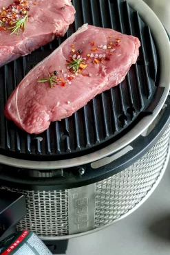 Cobb Grill Premier Gas Deluxe 2.0 - Gasgrill - Kartuschenanschluss - Modell 2023 15 Cobb Grill Premier Gas Deluxe 2.0 - Gasgrill - Kartuschenanschluss - Modell 2023 -Barbecue Shop Cobb Grasgrill Premier Deluxe 2 Griddle Grillplatte