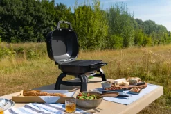 Napoleon TravelQ 240 Kompakt Gasgrill Schwarz- Modell 2023 -Barbecue Shop Napoleon TravelQ TQ240 Kompaktgrill