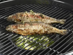 Outdoorchef Gusseisenpfanne / Aromapfanne Ø 23cm -Barbecue Shop outdoorchef aromapfanne 18 211 71 f