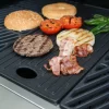 Outdoorchef DGS Grillplatte / Gussplatte Für Dualchef Gasgrills