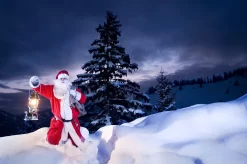 Petromax Petroleumlampe HK500/829 Chrom 37 Petromax Petroleumlampe HK500/829 Chrom -Barbecue Shop petromax starklichtlampe hk500 px5c 20